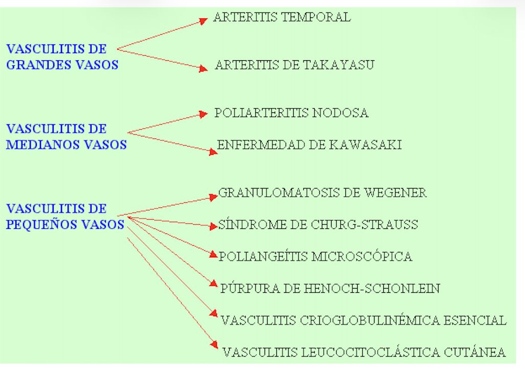 CLASIFICACION DE VASCULITIS